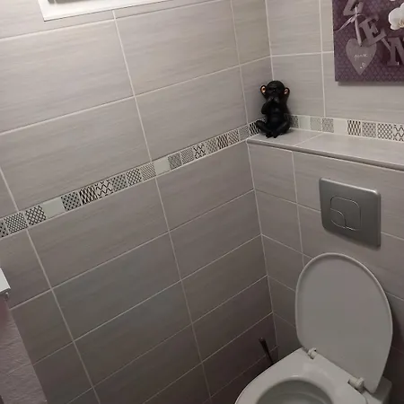 度假居 Maison Agreable A Oleron 道拉斯奥莱龙